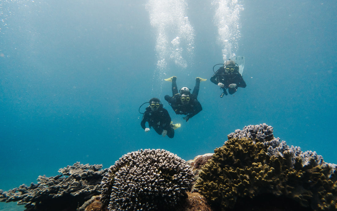 Diver observing a reef manta ray during a Nusa Penida dive at Manta Point, Bali