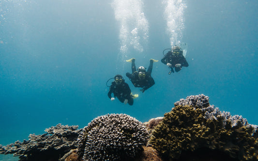 Diver observing a reef manta ray during a Nusa Penida dive at Manta Point, Bali