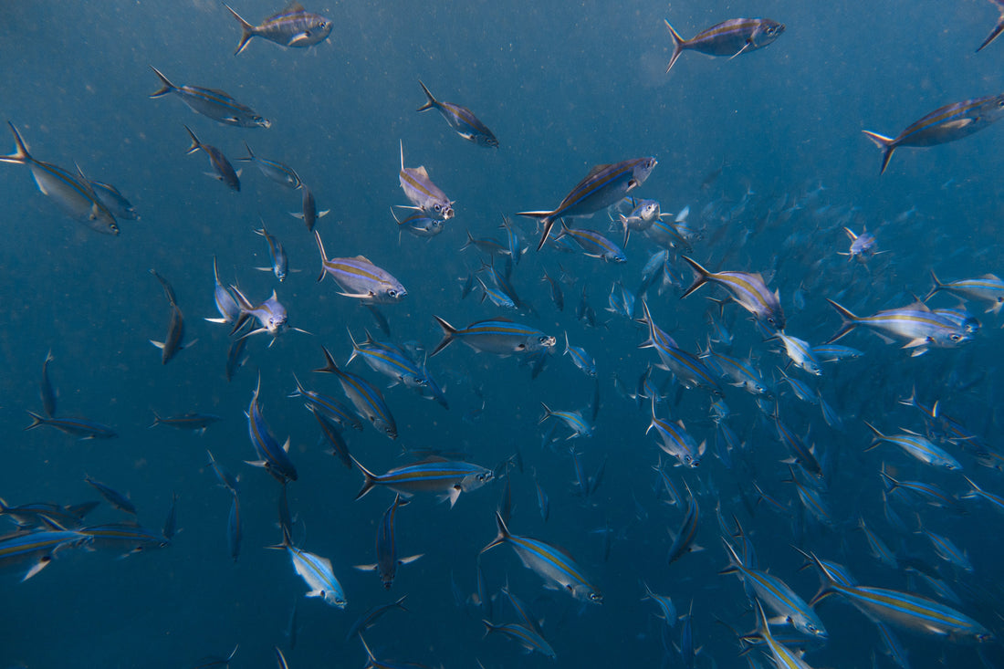 Beginner scuba diver in calm water during a PADI training session in Sanur, Bali