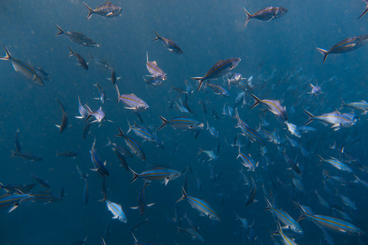 Beginner scuba diver in calm water during a PADI training session in Sanur, Bali