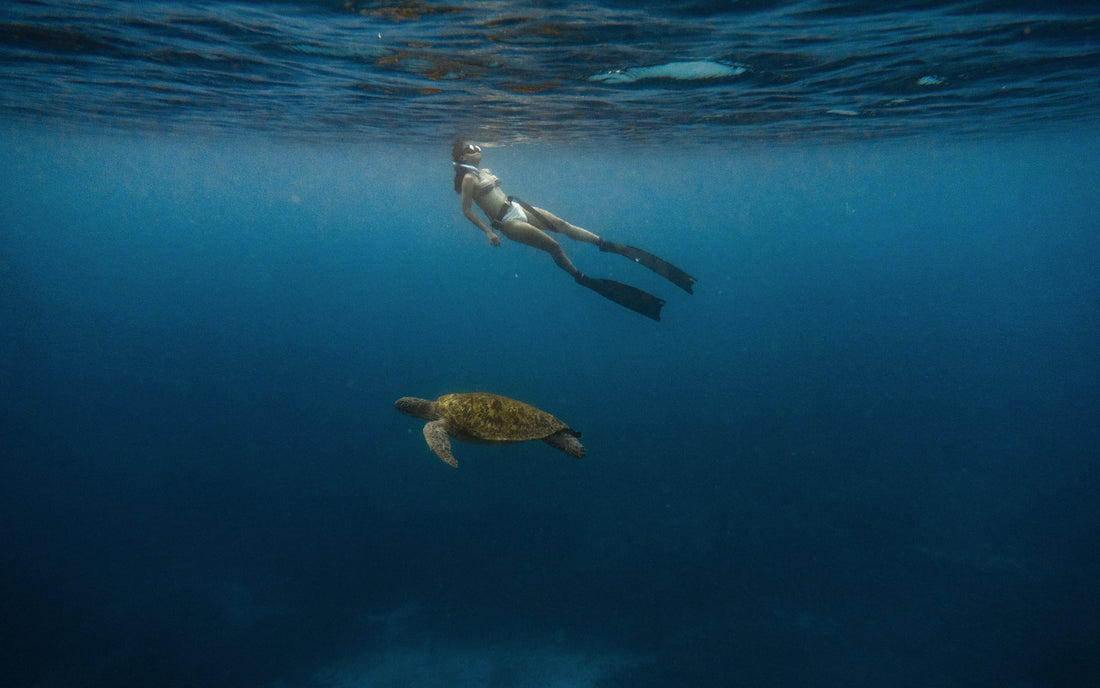 Family snorkeling in clear shallow water at a Bali reef, suitable for children and beginner divers