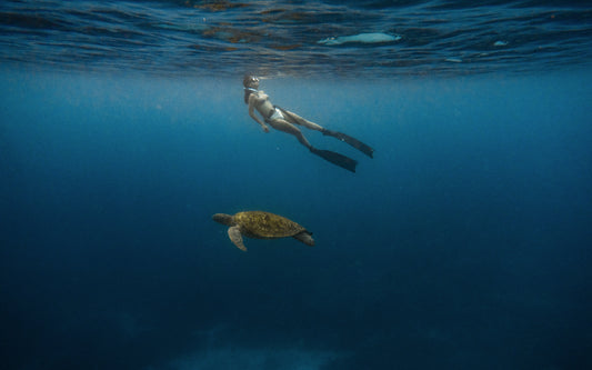 Family snorkeling in clear shallow water at a Bali reef, suitable for children and beginner divers