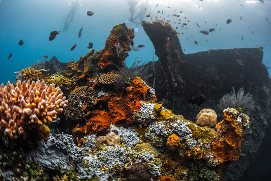 Diver exploring the USAT Liberty wreck in Tulamben Bali during dry season with clear visibility