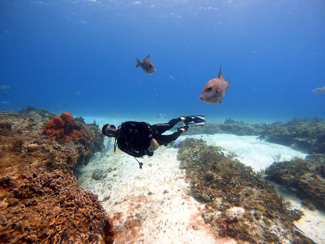 Scuba diver exploring the USAT Liberty wreck in Tulamben, Bali, surrounded by tropical fish and coral